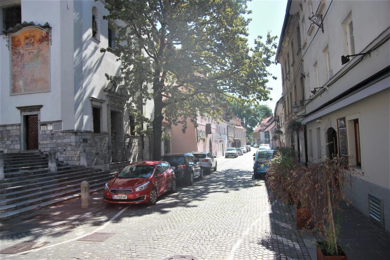 Pink House Studio Ljubljana Bagian luar foto
