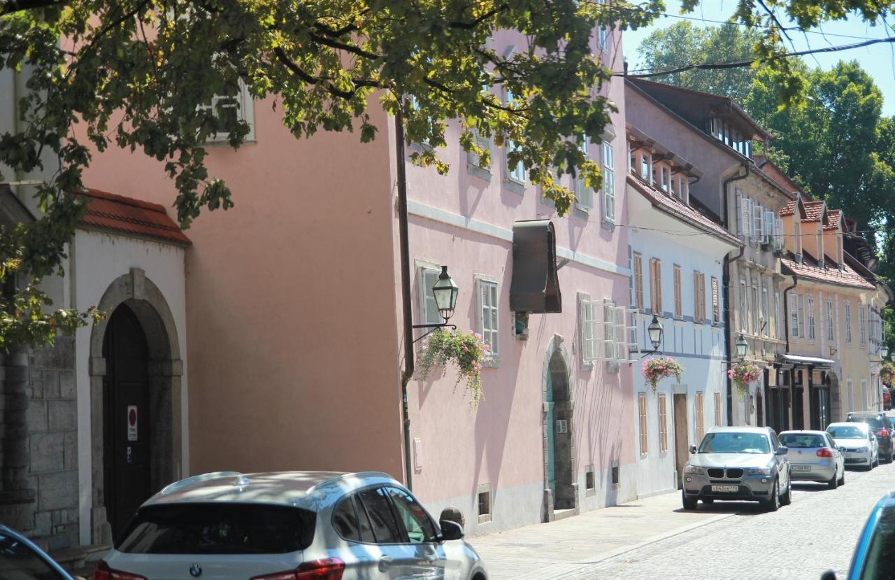 Pink House Studio Ljubljana Bagian luar foto