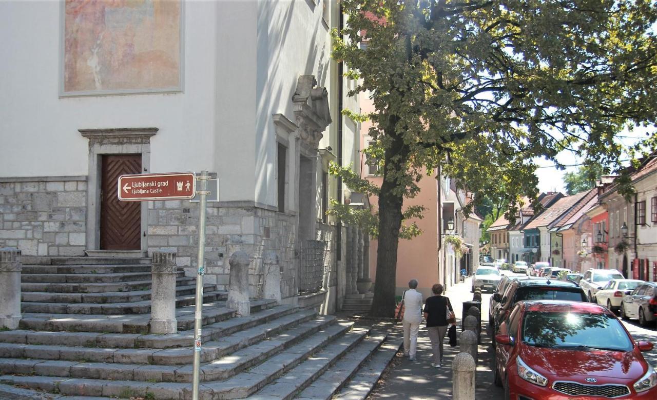 Pink House Studio Ljubljana Bagian luar foto